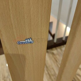 Название фирмы крупным планом Geuther