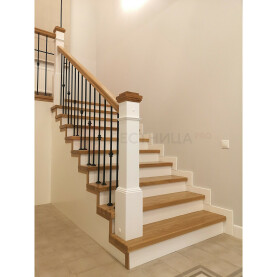 столб колонна на первой ступени