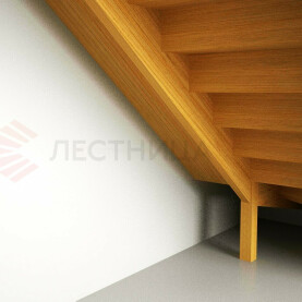 КОНСТРУКТИВ ЛЕСТНИЦЫ